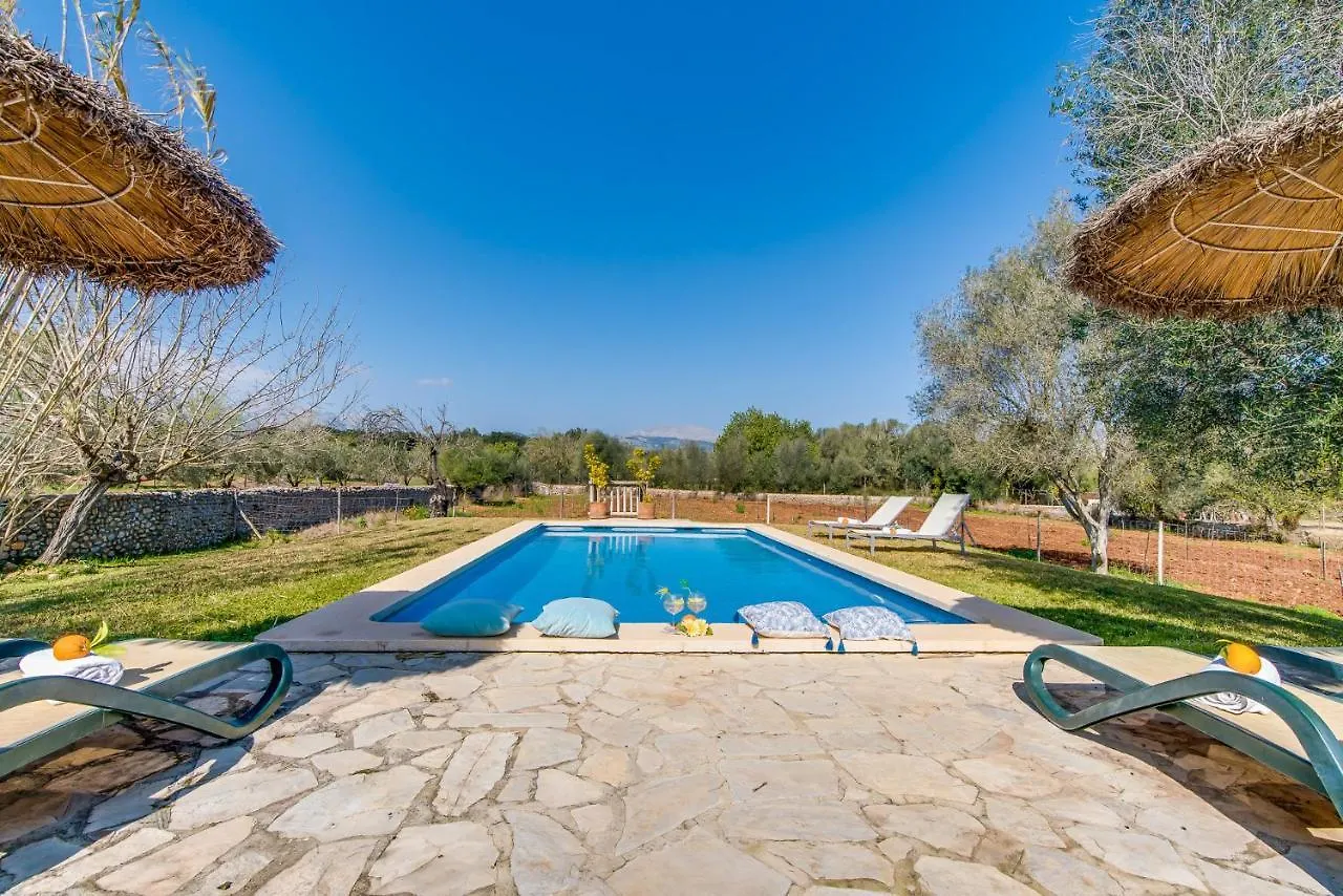 Ses Planes Guest House Buger Spain