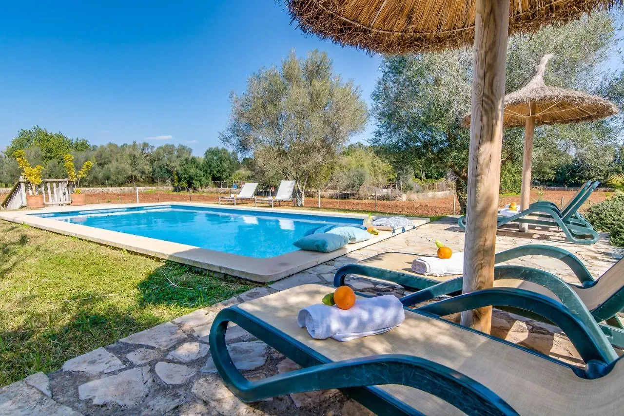 Ses Planes Guest House Buger