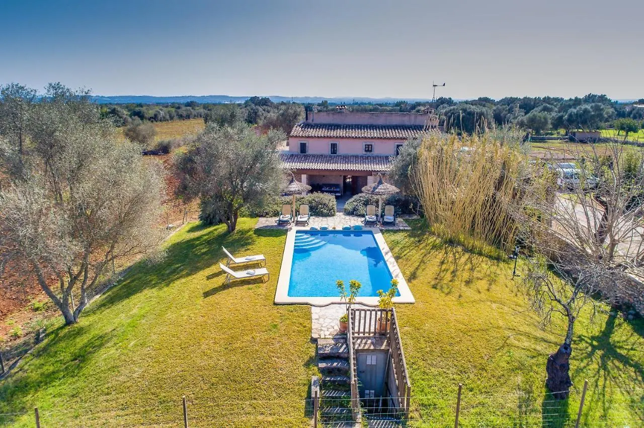 Ses Planes Guest House Buger